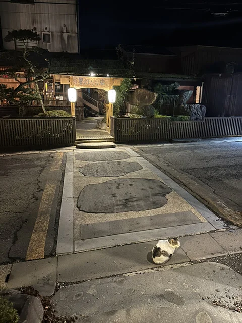 くぬぎ庵 - 蔵王町その他（麺類）の写真