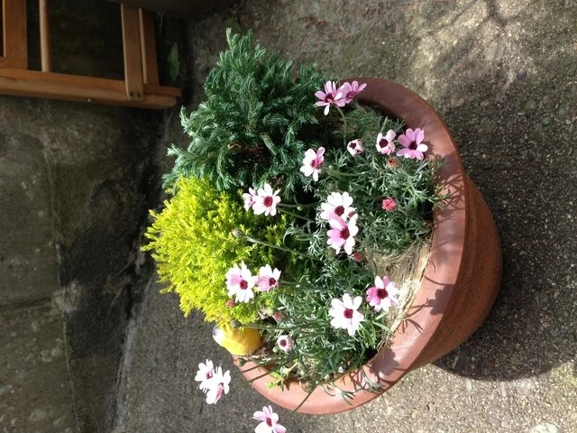 cafe  とまとの店 - 秋田（カフェ）の写真