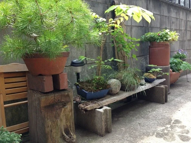 cafe  とまとの店 - 秋田（カフェ）の写真