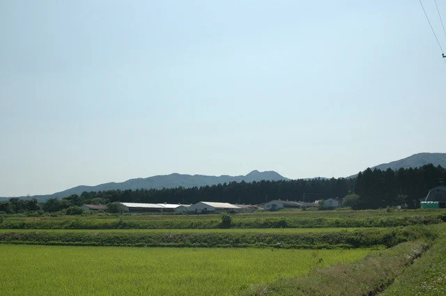 ポパイ - 花巻（豚料理）の写真