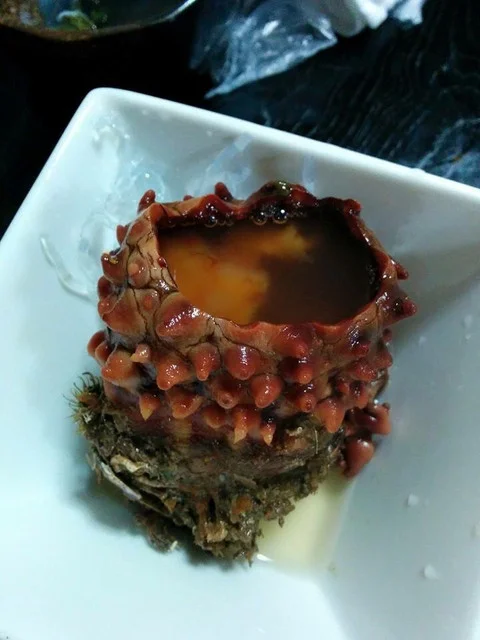 高はし（たかはし） - 久慈（居酒屋）の写真