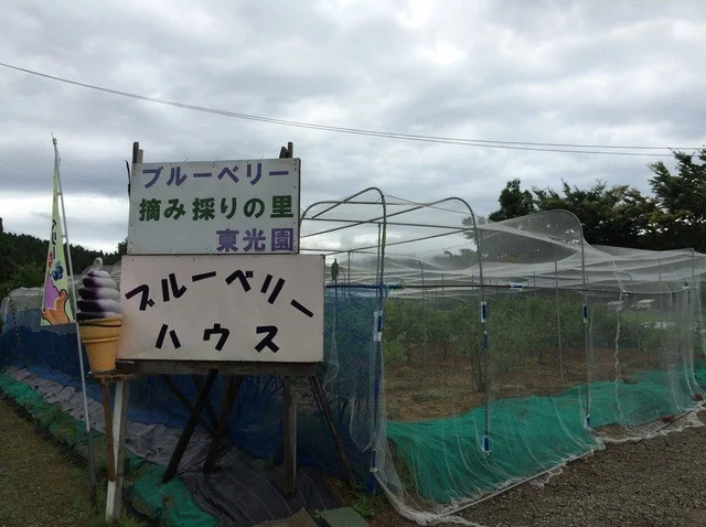 東光園（トウコウエン） - 羽後岩谷（スイーツ）の写真