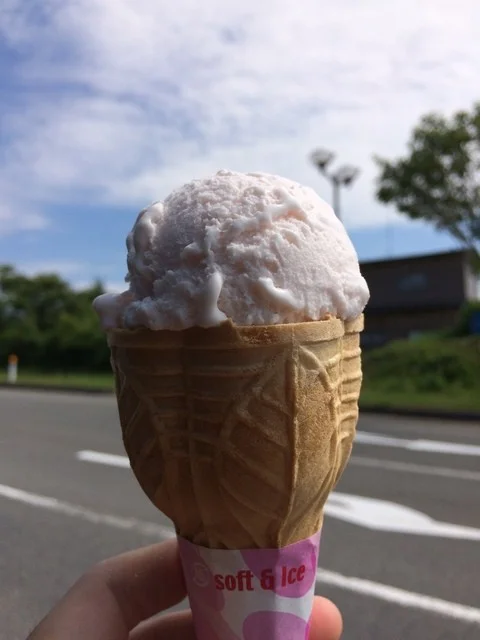 佐々木商事　井川さくらＳＳ - 井川さくら（ジェラート・アイスクリーム）の写真