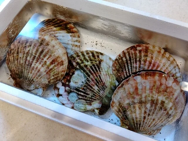 与助（YOSUKE） - 平田（海鮮）の写真