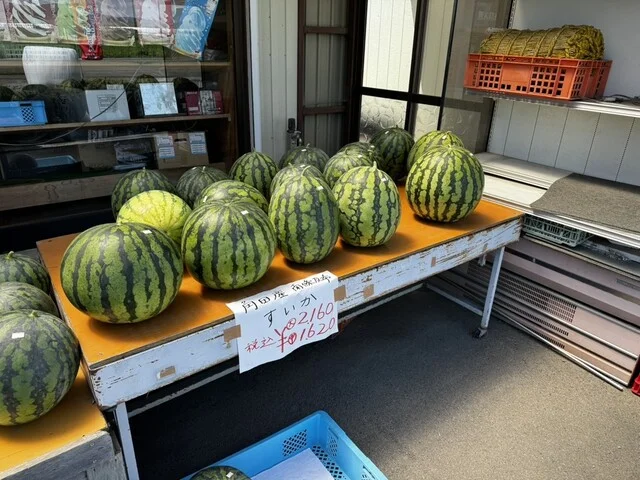 ベコ屋の洋ちゃん - 岡（牛料理）の写真