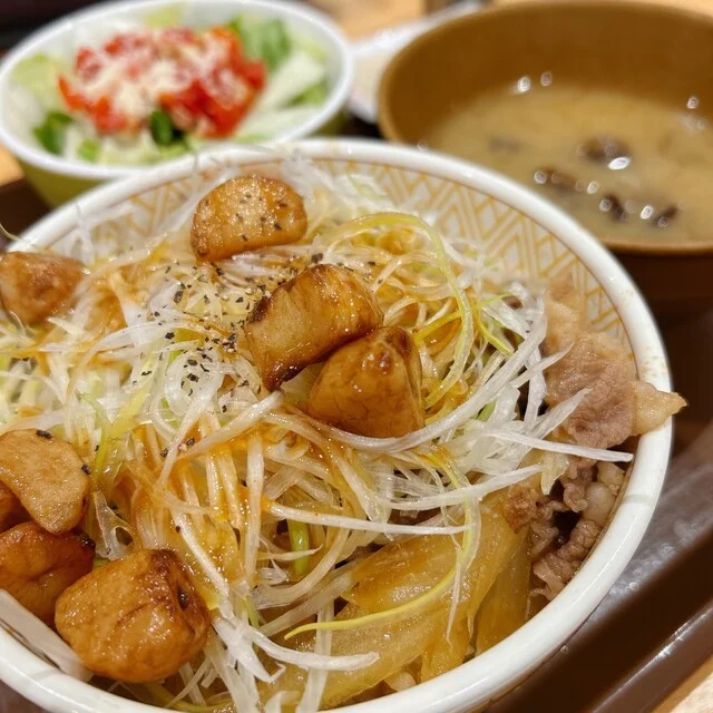 すき家 7号能代店 - 能代（牛丼）の写真