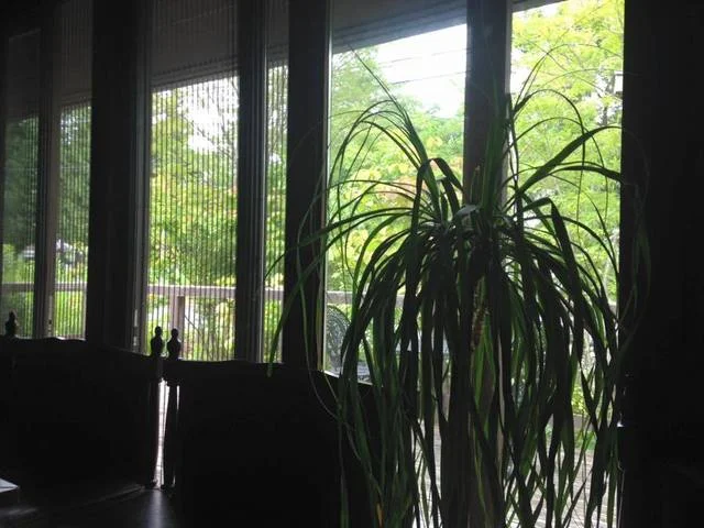 Half Note（ハーフノート） - 陸中折居（カフェ）の写真