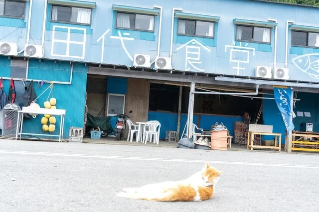 田代食堂 - 石巻市その他（海鮮）の写真