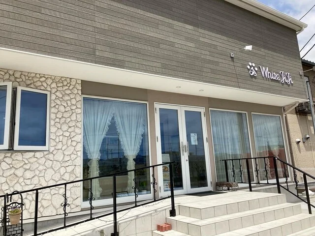 White JiJi（ホワイト ジジ） - 石巻あゆみ野（カフェ）の写真