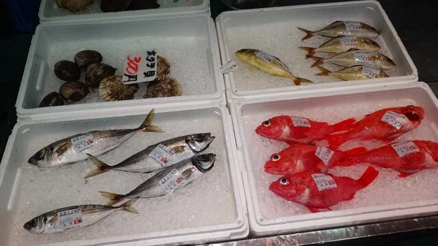 サン・フィッシュ釜石 - 釜石（その他）の写真