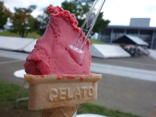 Ice cream Doux（アイスクリーム ドゥ【旧店名】イル･ジェラート） - 南米沢（ジェラート・アイスクリーム）の写真