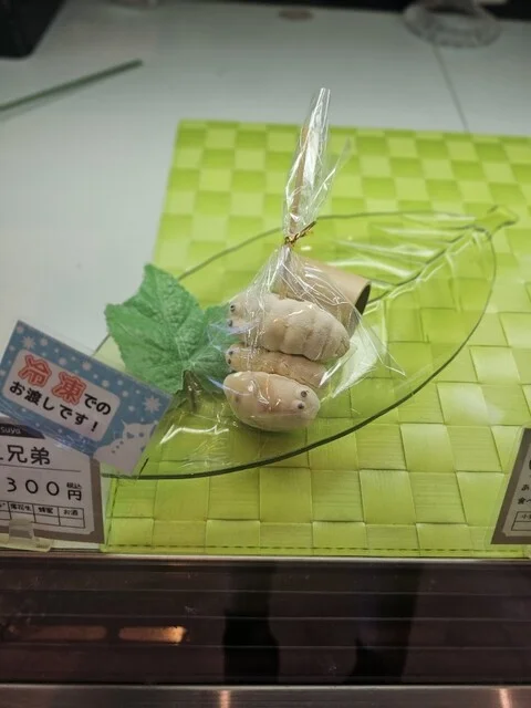 小松屋本店 - 横手（ケーキ）の写真