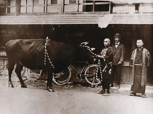登起波分店  登 （のぼる） - 米沢（すき焼き）の写真