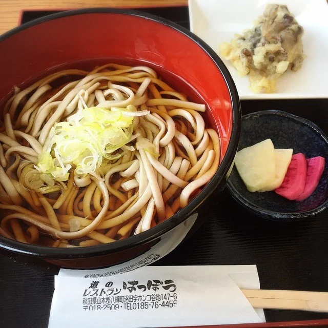 道の駅みねはま おらほの館 - 鳥形（道の駅）の写真