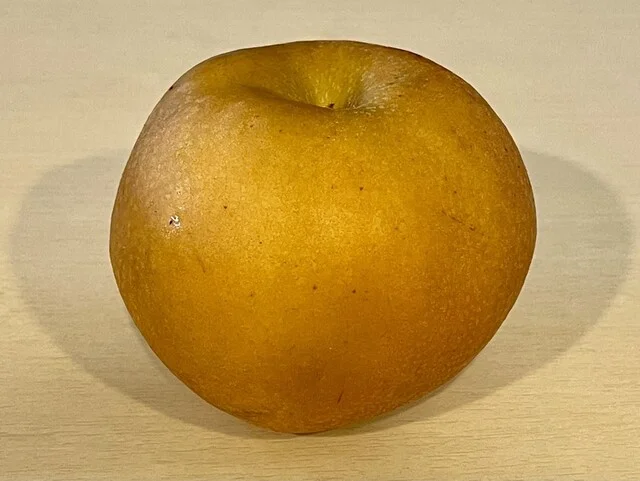 ウミヨコ直売所 - 岩城みなと（道の駅）の写真