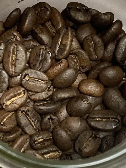 ジジコーヒー（JIJI COFFEE） - 向能代（カフェ）の写真