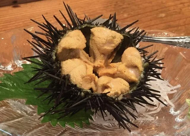 ひらつか - 蛇田（日本料理）の写真