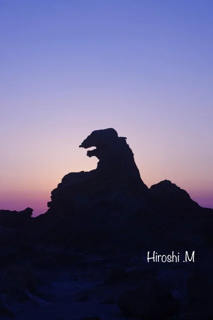 Rock Cat cafe（ロック キャット カフェ） - 男鹿市その他（カフェ）の写真