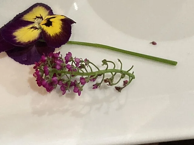 ふみきり野cafe - 合川（カフェ）の写真