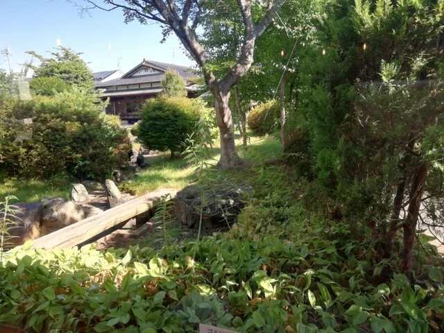 麺処 いっちょう - 日詰（ラーメン）の写真