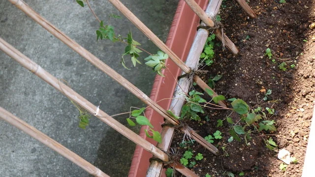 花ごよみ - 米沢（甘味処）の写真