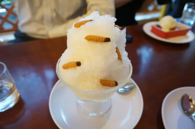 小松屋本店 - 横手（ケーキ）の写真