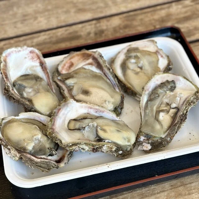 にかほ陣屋 - 金浦（その他）の写真