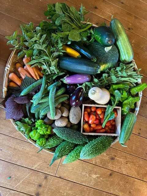 山里Magari - 関根（イタリアン）の写真