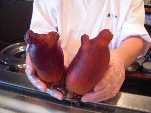 寿し和 - 前潟（寿司）の写真