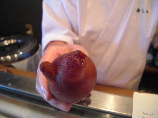 寿し和 - 前潟（寿司）の写真