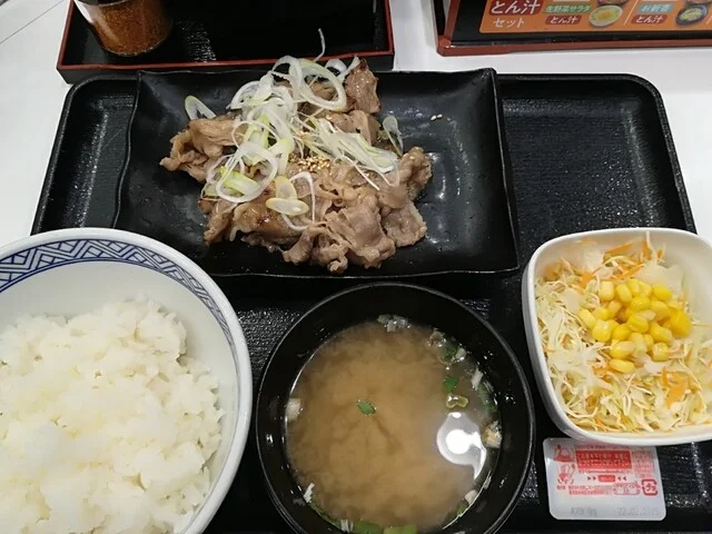 吉野家 13号線秋田川尻若葉町 - 羽後牛島（牛丼）の写真