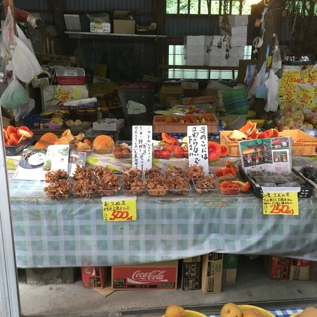 蜂蜜屋 六方 - 白石（カフェ）の写真