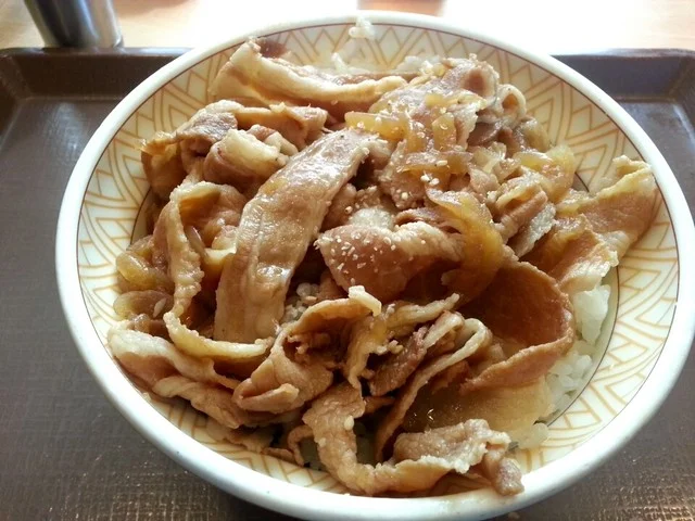 すき家 4号盛岡上田店 - 上盛岡（牛丼）の写真