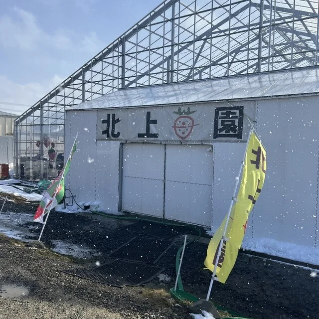 北上いちご園 - 柳原（その他）の写真