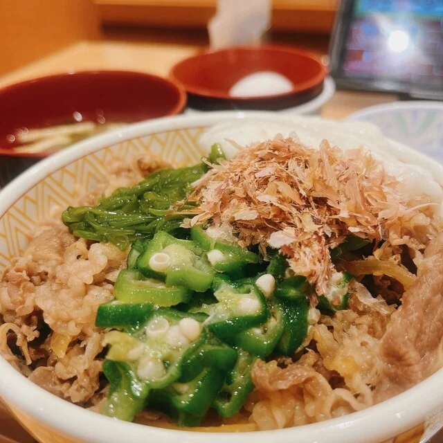すき家 7号能代店 - 能代（牛丼）の写真