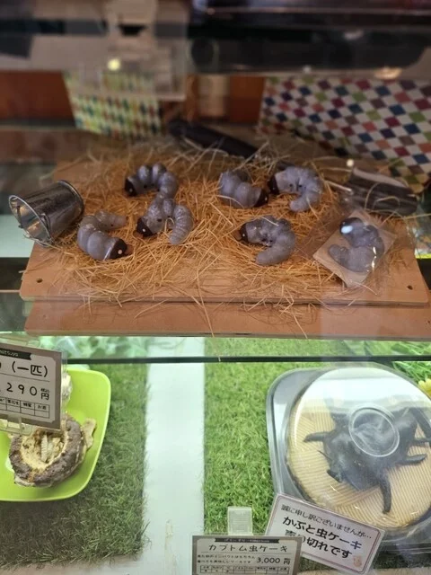 小松屋本店 - 横手（ケーキ）の写真