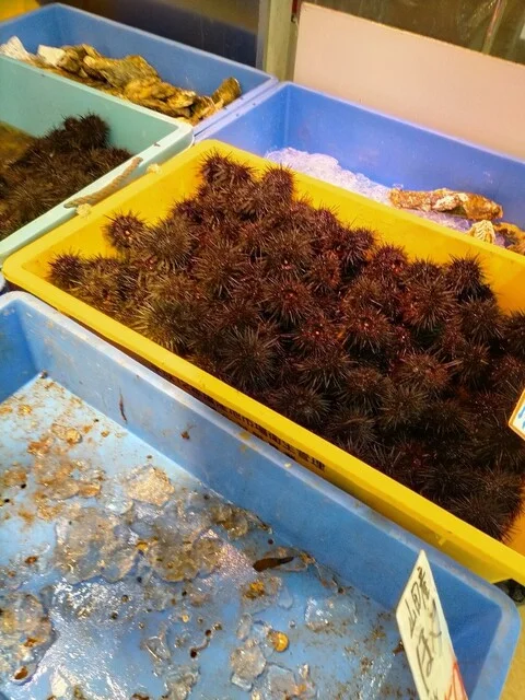 三上商店 - 宮古（その他）の写真