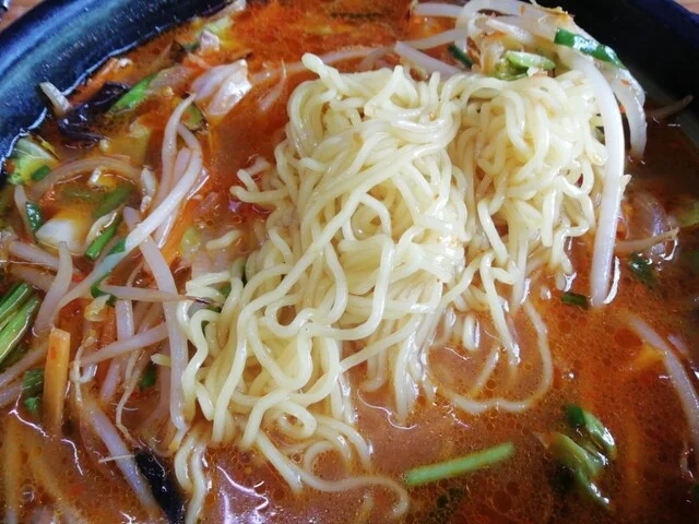 しらいし屋 バイパス店（しらいしや） - 宮守（ラーメン）の写真