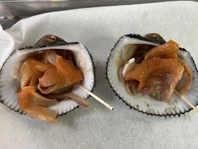 すっぽんかがや - 秋田（その他）の写真