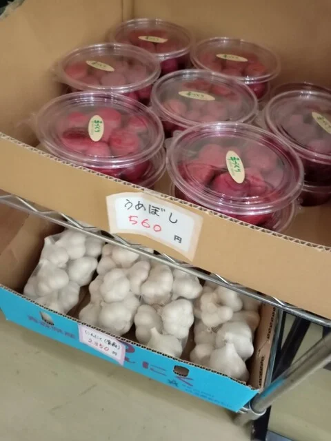 黄金川温泉（コガネガワオンセン） - 東白石（その他）の写真