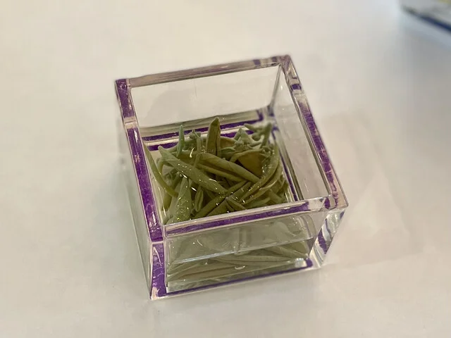 駒ヶ岳グランドホテル（【旧店名】駒ケ岳観光ホテル） - 仙北市その他（ホテル）の写真