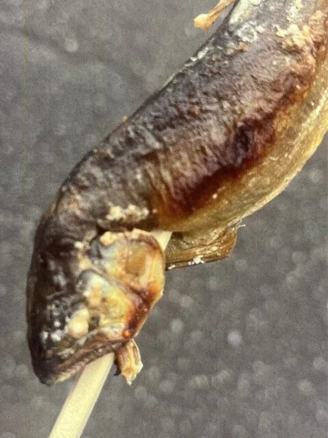 若あゆ - 猊鼻渓（串焼き）の写真