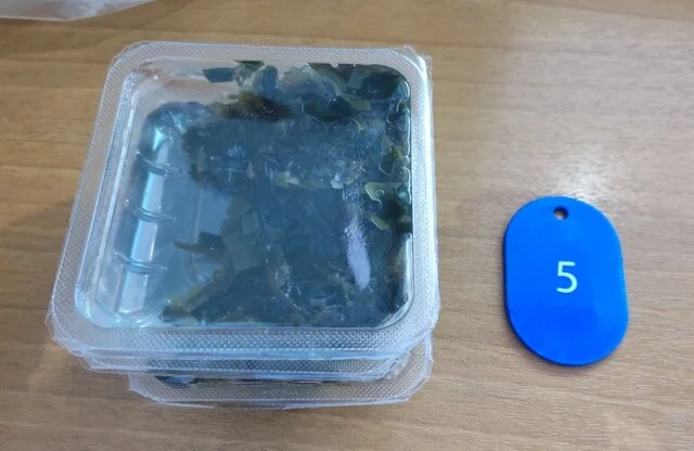 軽食ひまわり 富の中店 - 山形（ラーメン）の写真