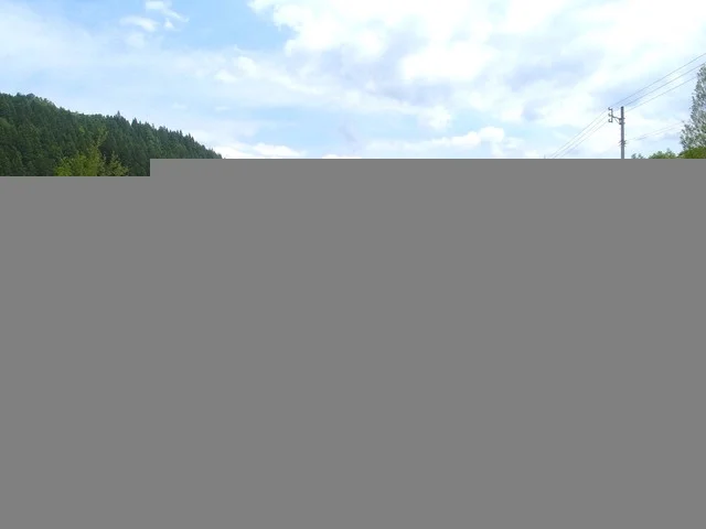 ウフウフガーデン（ufu uhu garden） - 西米沢（イタリアン）の写真