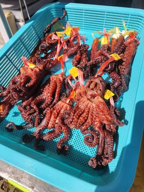 磯舟焼いか - 岩館（日本料理）の写真