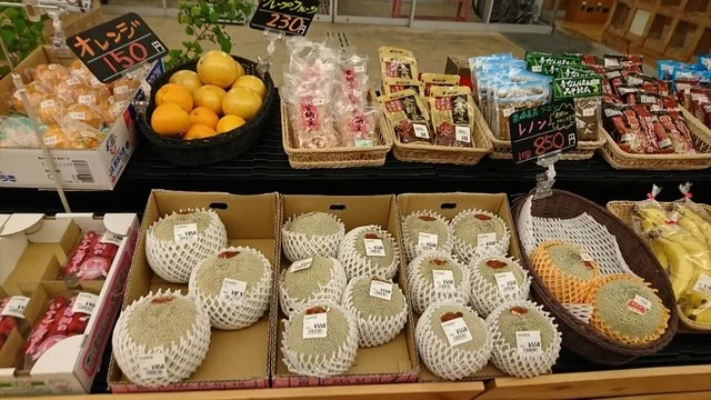 ふたごの湯 - 鹿又（その他）の写真