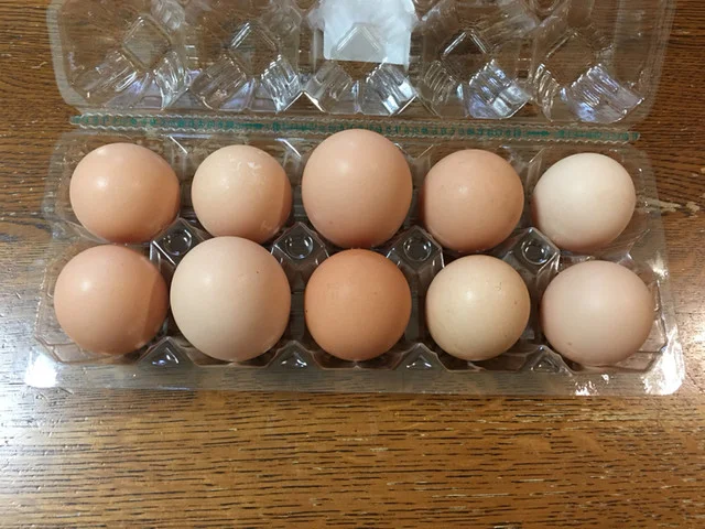 八竜産直センター メロディアン - 三種町その他（その他）の写真