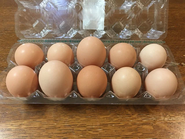 八竜産直センター メロディアン - 三種町その他（その他）の写真