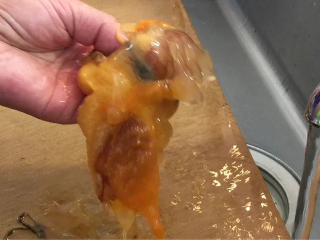 鮮魚うえの - 大船渡（その他）の写真