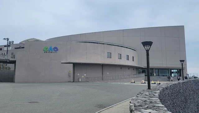 男鹿水族館GAO ミュージアムショップ（オガスイゾクカンガオ ミュージアムショップ） - 男鹿市その他（ソフトクリーム）の写真